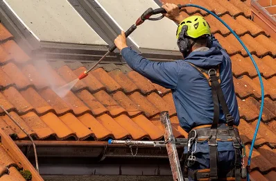 Démoussage et hydrofuge de toiture à Bricon